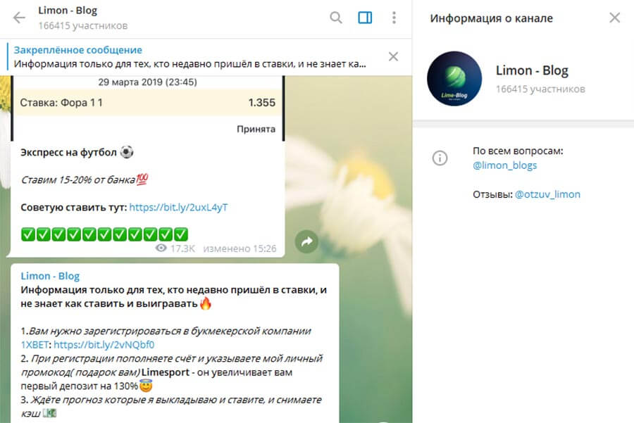 Внешний вид телеграм канала Limon - Blog