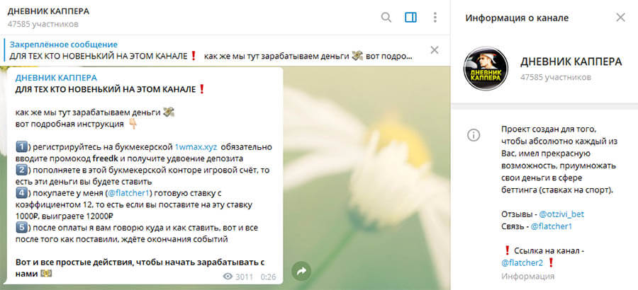 Внешний вид телеграм канала Дневник Каппера