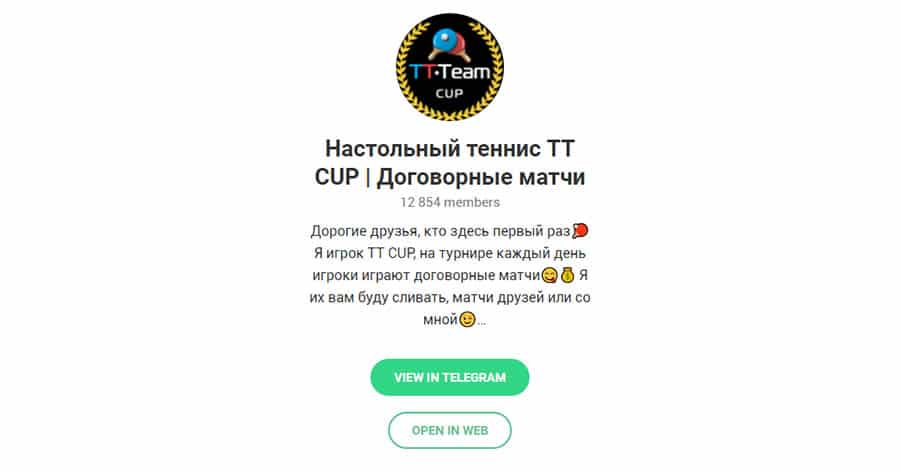 Внешний вид телеграм канала Настольный теннис TT CUP