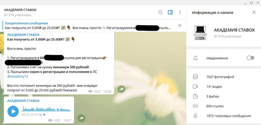 Внешний вид телеграм канала Академия Ставок