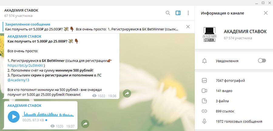 Внешний вид телеграм канала Академия Ставок