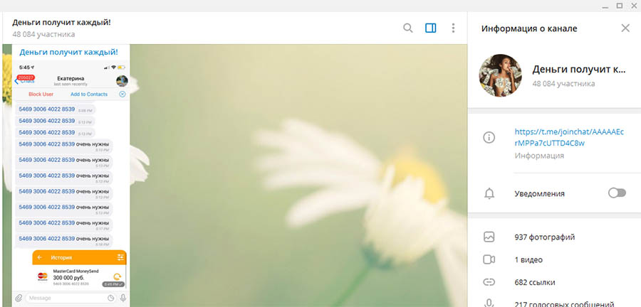 Телеграм шаман фэмили. Отзывы телеграмм каналов. Деньги телеграмм картинки. Money в телеграмме. Телеграмм канал Томенко.