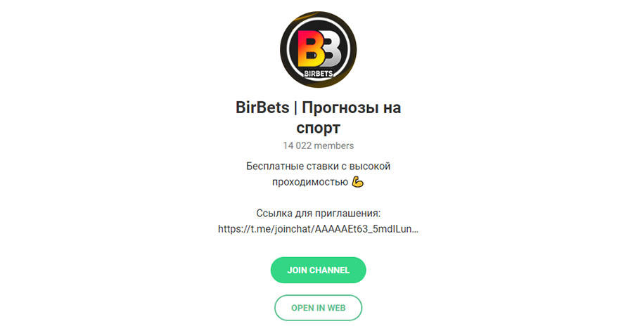 Внешний вид телеграм канала BirBets