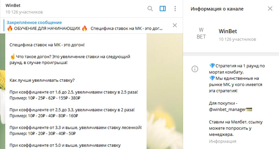 Внешний вид телеграм канала WinBet