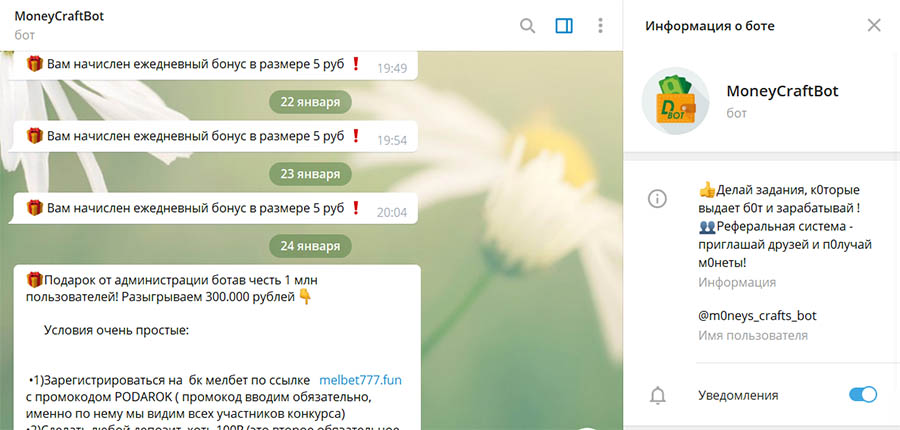 Внешний вид телеграм бота moneycraftbot