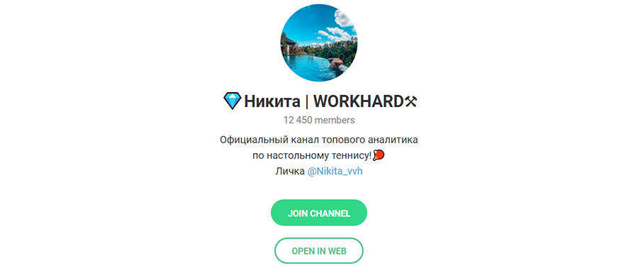 Внешний вид телеграм канала Никита Workhard