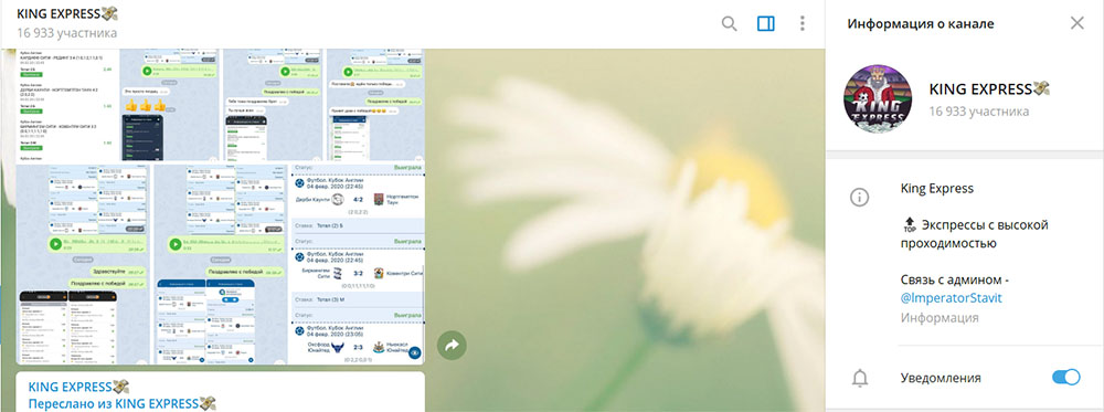 Внешний вид телеграм канала KING EXPRESS (ex. Император Ставит)