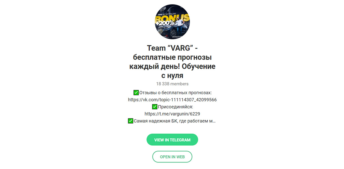 Внешний вид телеграм канала Team VARG (Дмитрий Варгунин)