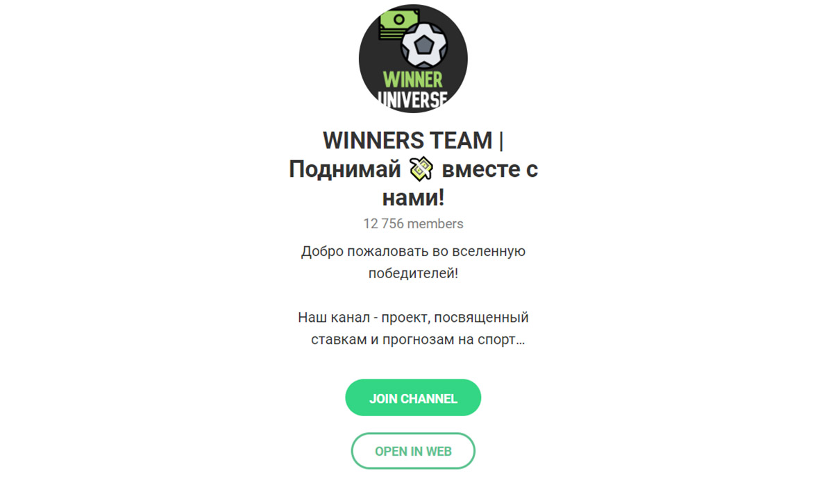 Внешний вид телеграм канала Winners Team