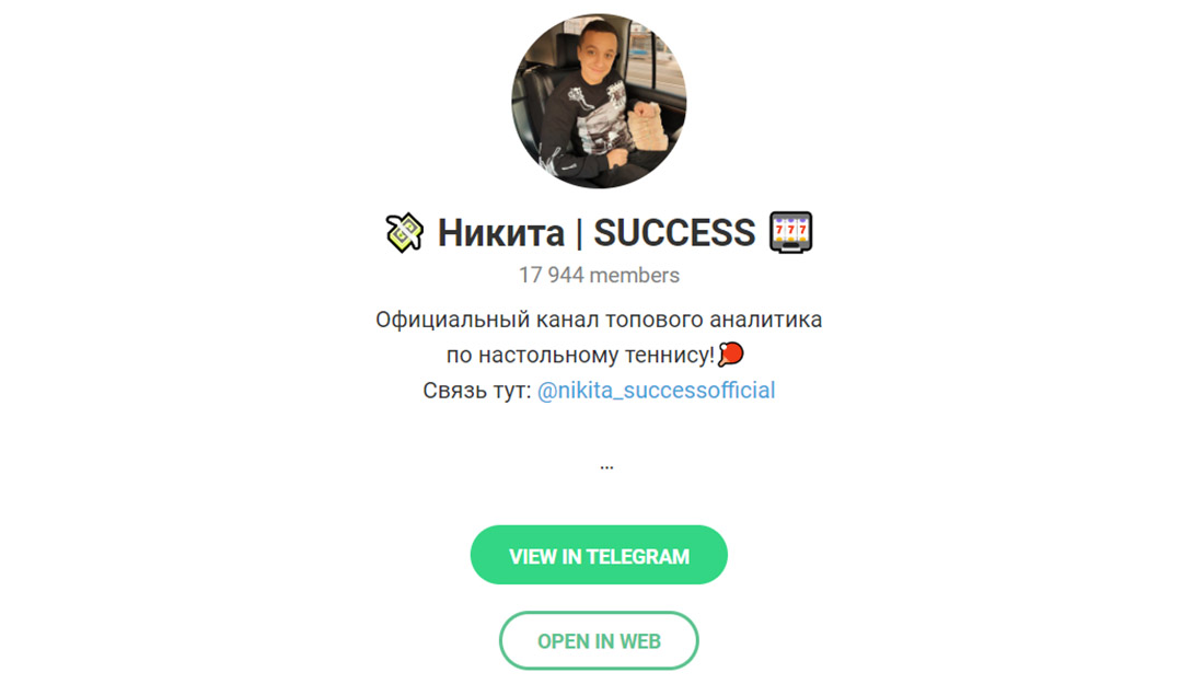 Внешний вид телеграм канала Никита | SUCCESS