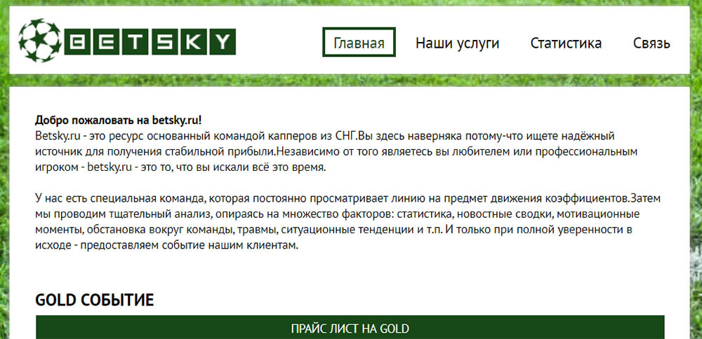 Внешний вид сайта BetSky.ru