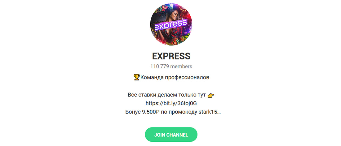 Внешний вид телеграм канала Express (Никита Макаревич)