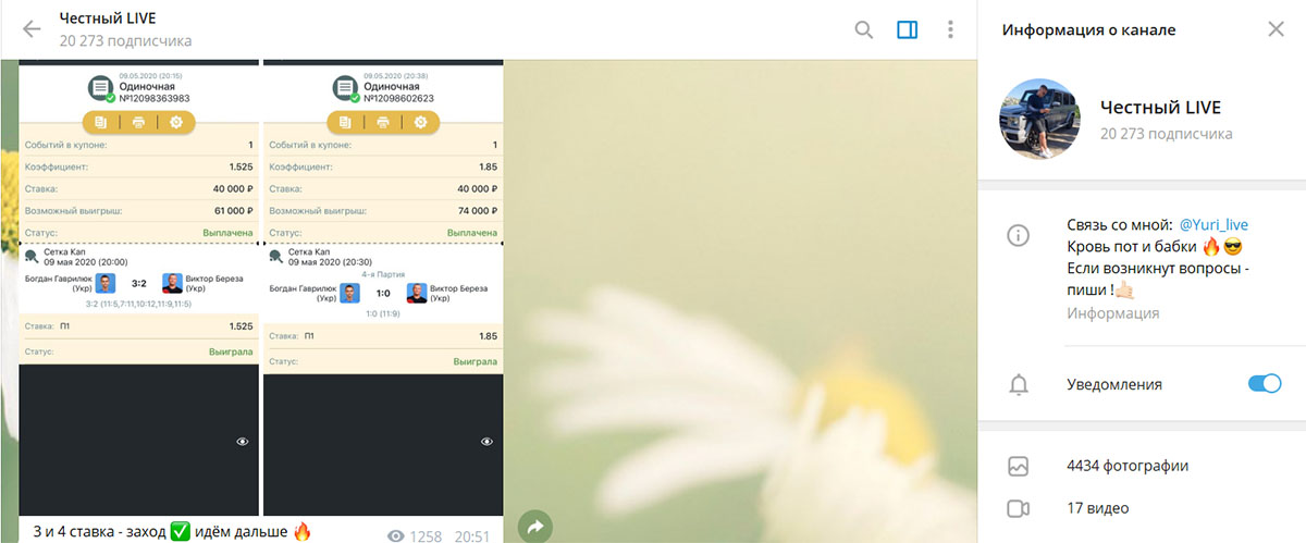 Внешний вид телеграм канала Честный Live