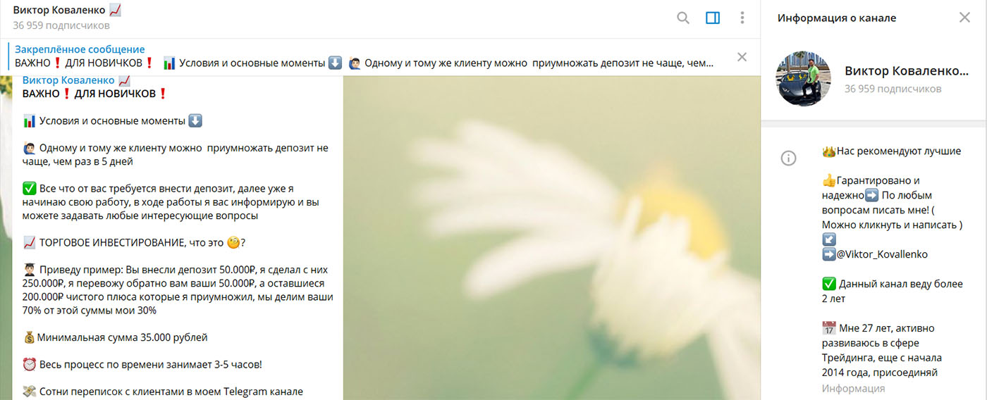 Внешний вид телеграм канала Виктор Коваленко