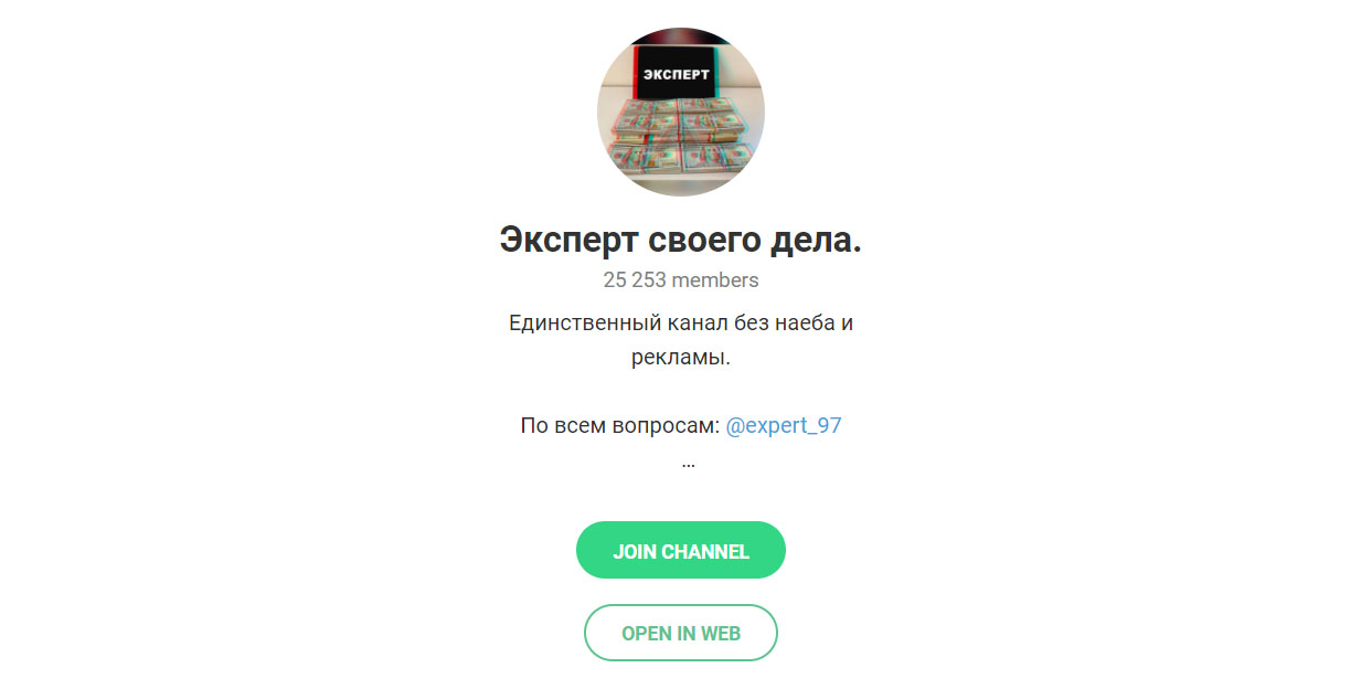 Внешний вид телеграм канала эксперт своего дела