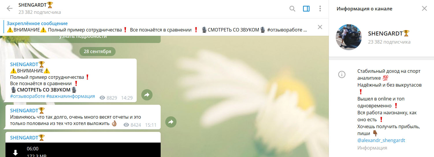 Внешний вид телеграм канала Shengardt Bet Внешний вид телеграм канала Shengardt Bet
