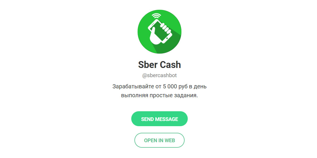 Внешний вид телеграм бота Sber Cash