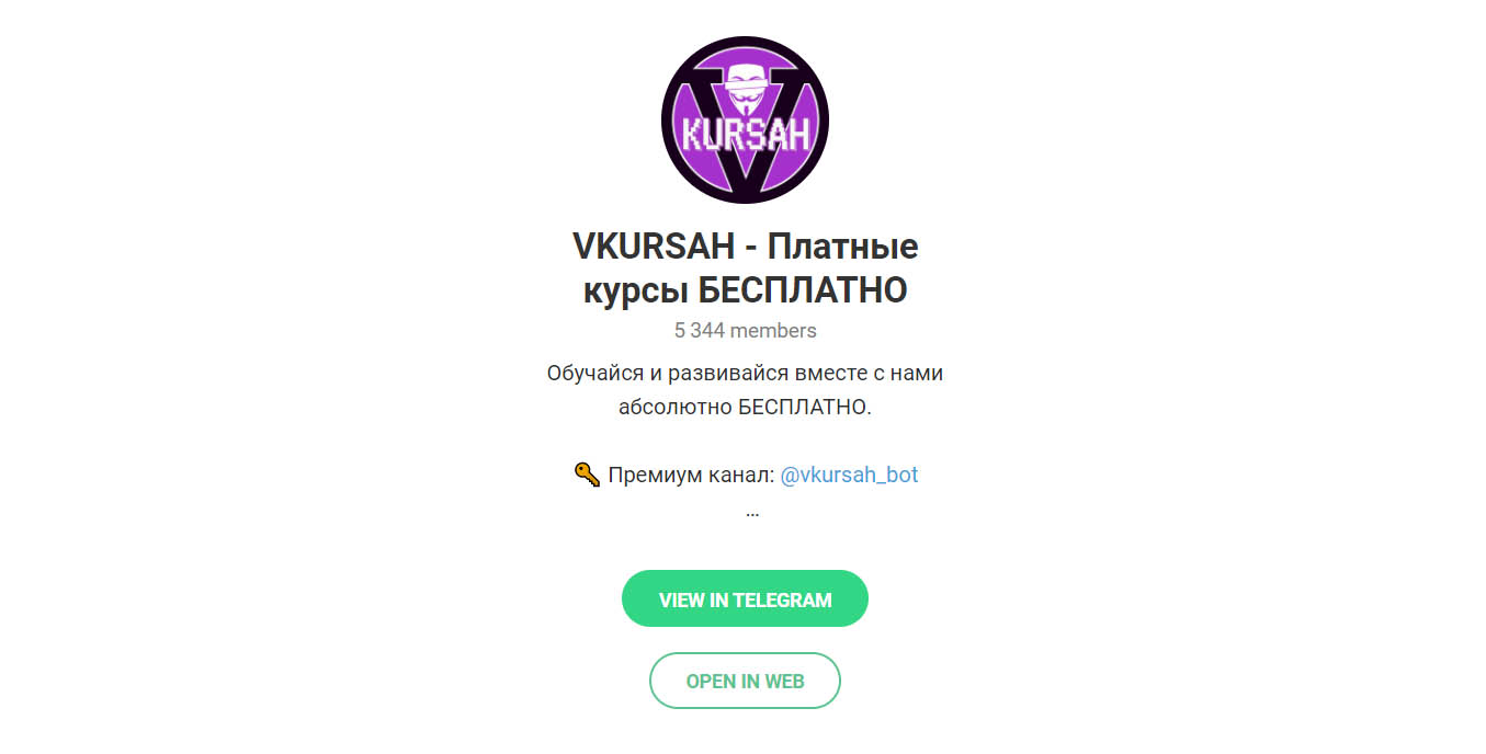 Внешний вид телеграм канала Vkursah