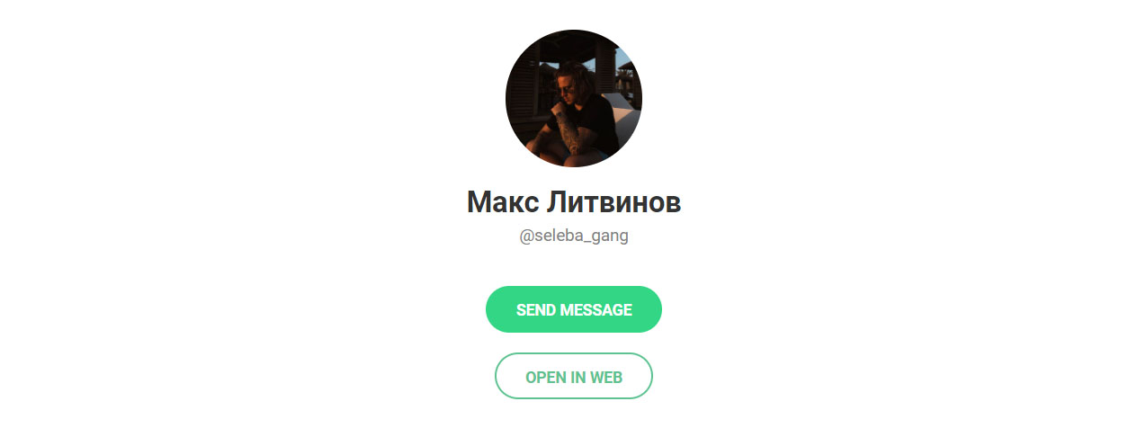 Внешний вид телеграм канала Макс Литвинов