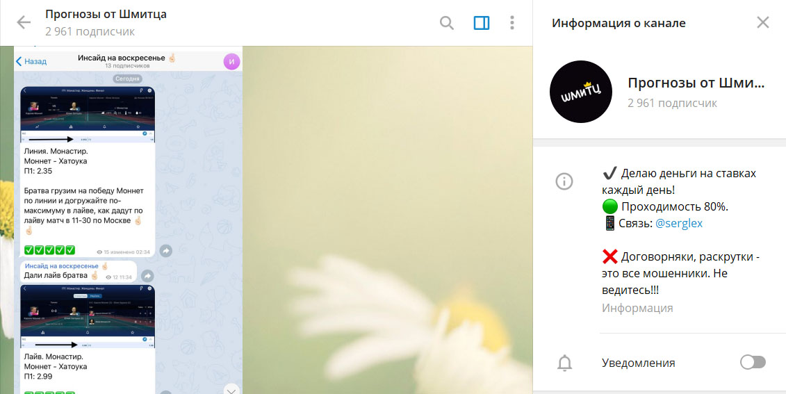 Внешний вид телеграм канала Прогнозы от Шмитца