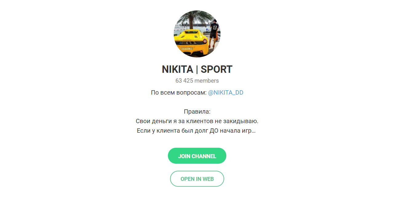 Внешний вид телеграм канала Nikita | Sport