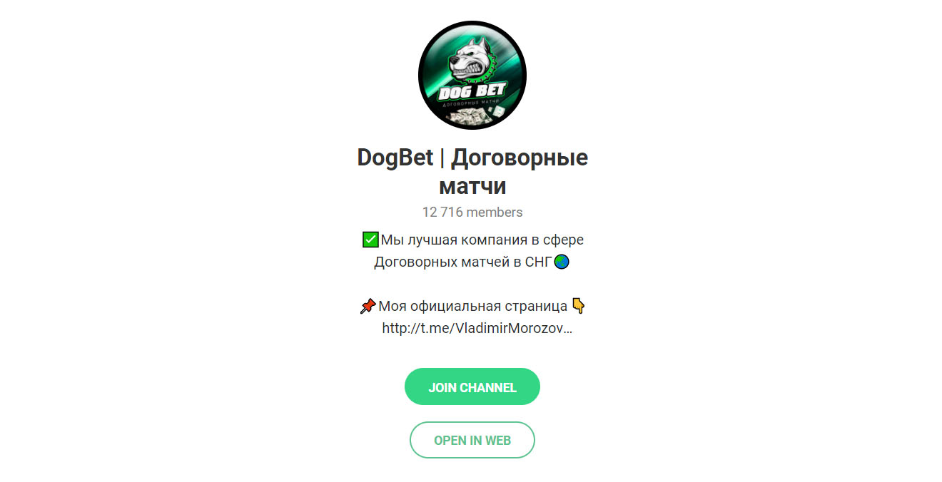 Внешний вид телеграм канала DogBet