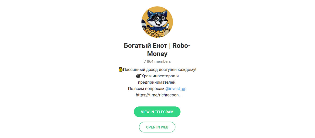 Внешний вид телеграм канала Богатый Енот | Robo Money