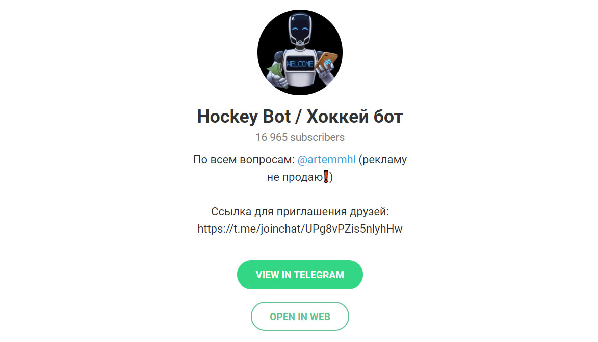 Внешний вид телеграм бота Hockey Bot