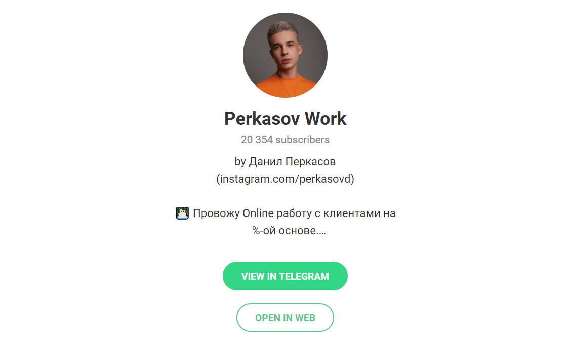 Внешний вид телеграм канала Perkasov Work
