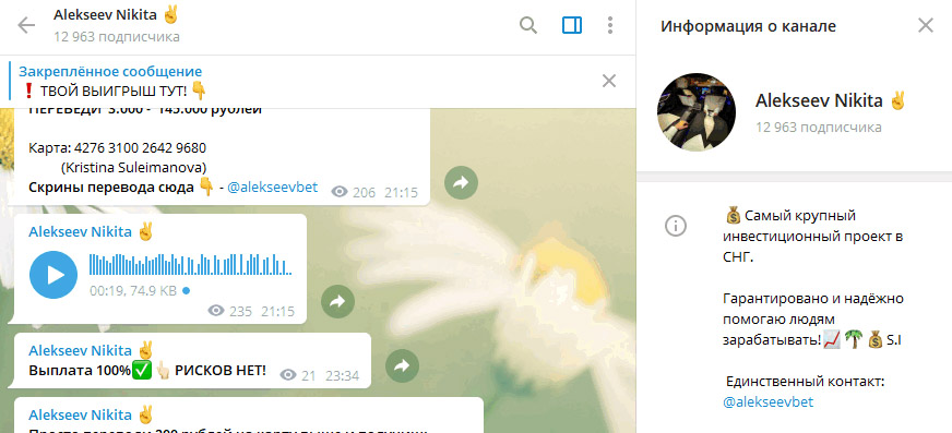 Внешний вид телеграм канала Nikita Alekseev