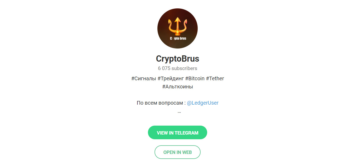 Внешний вид телеграм канала CryptoBrus