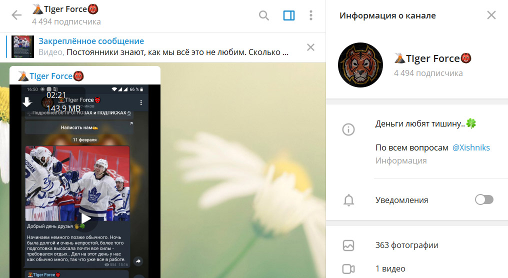 Внешний вид телеграм канала Tiger Force