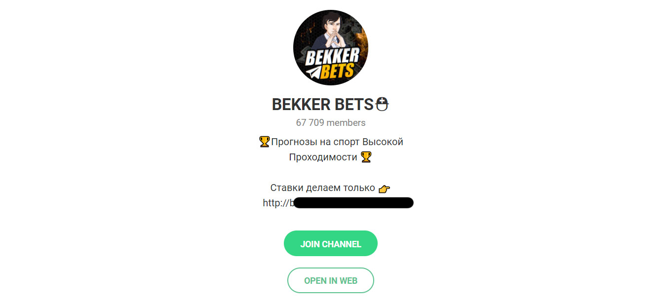 Внешний вид телеграм канала Bekker Bets