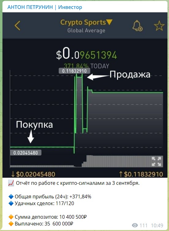 Отчеты по доходам на канале Телеграм Антона Петрунина