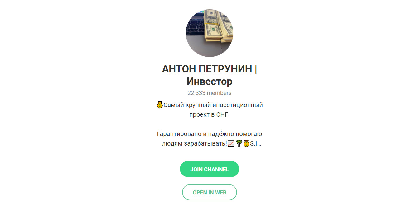 Внешний вид телеграм канала Антон Петрунин | Инвестор и Миллионер