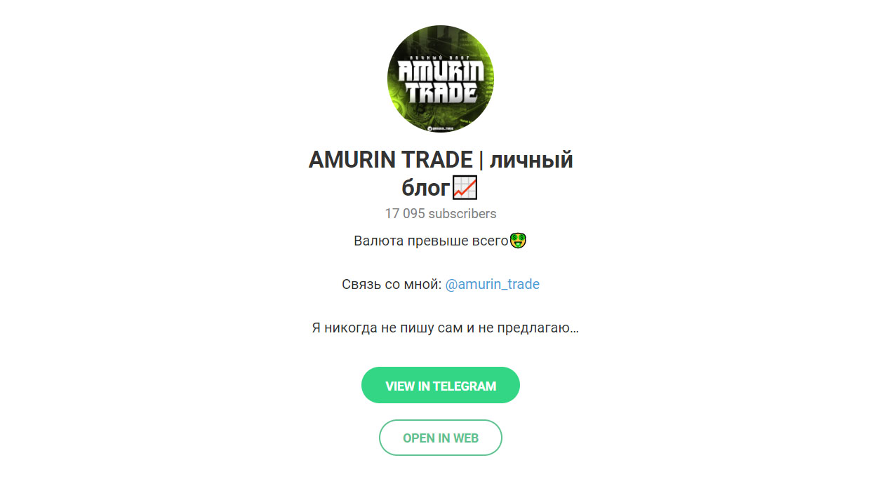 Внешний вид телеграм канала Amurin Trade | личный блог