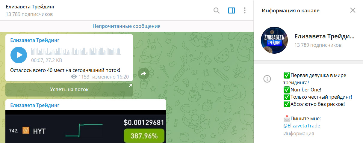 Внешний вид телеграм канала Елизавета Трейдинг