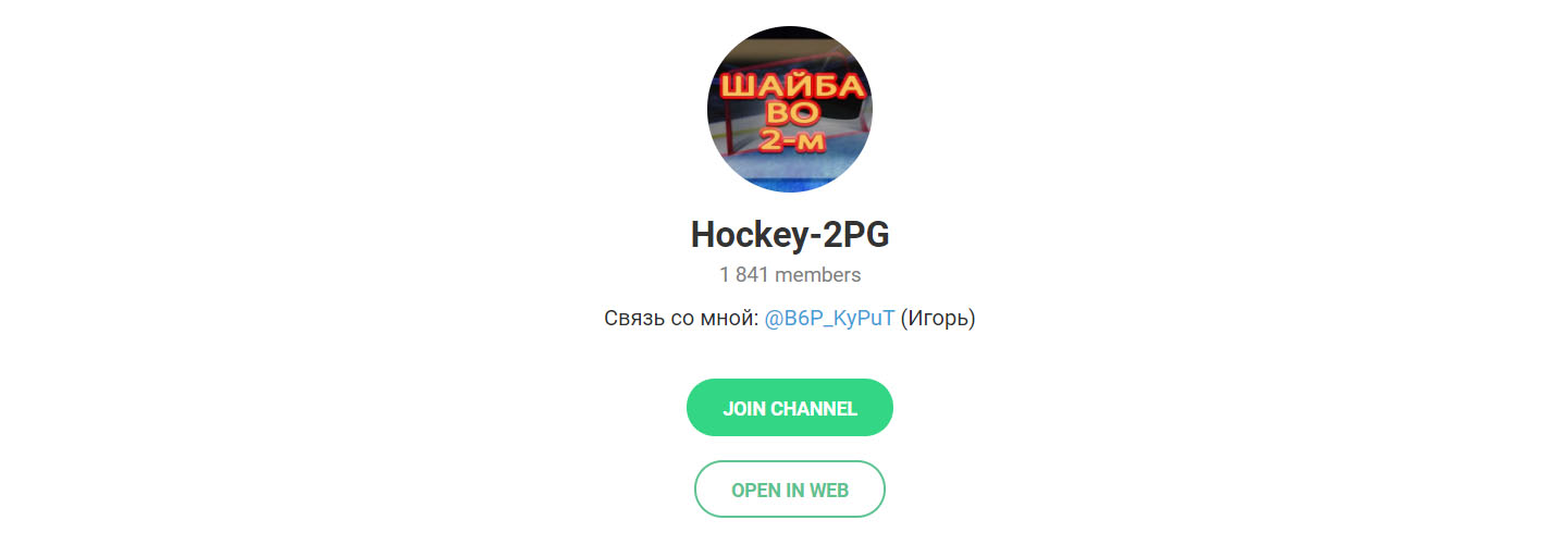 Внешний вид телеграм канала Hockey-2PG