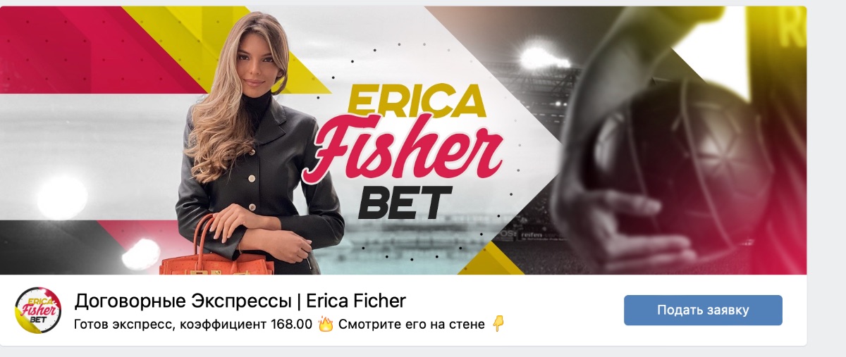 Внешний вид группы вк Erica Ficher