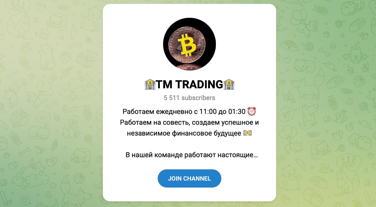 Внешний вид телеграм канала TM TRADING