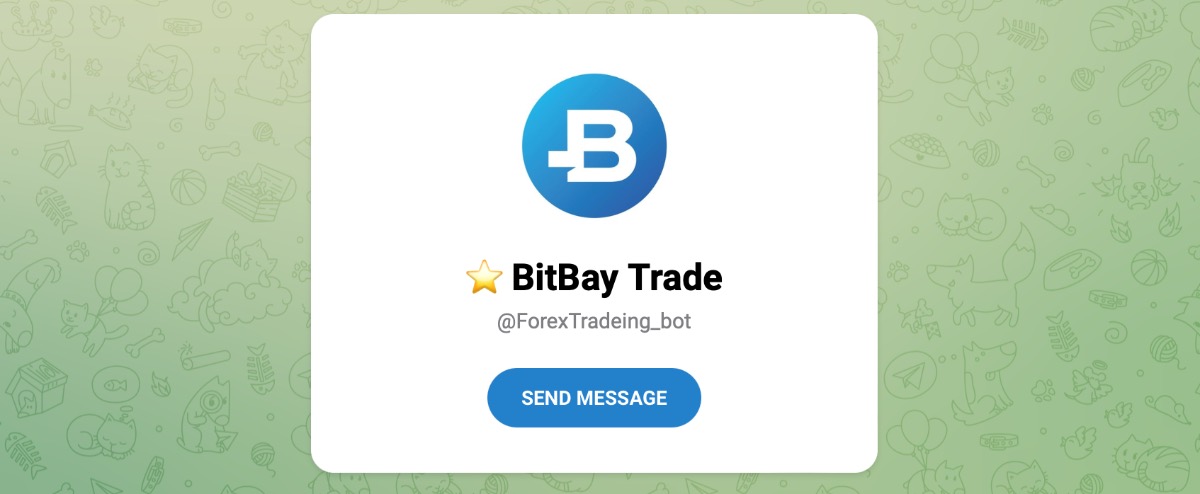 Внешний вид телеграм канала BitBay Trade