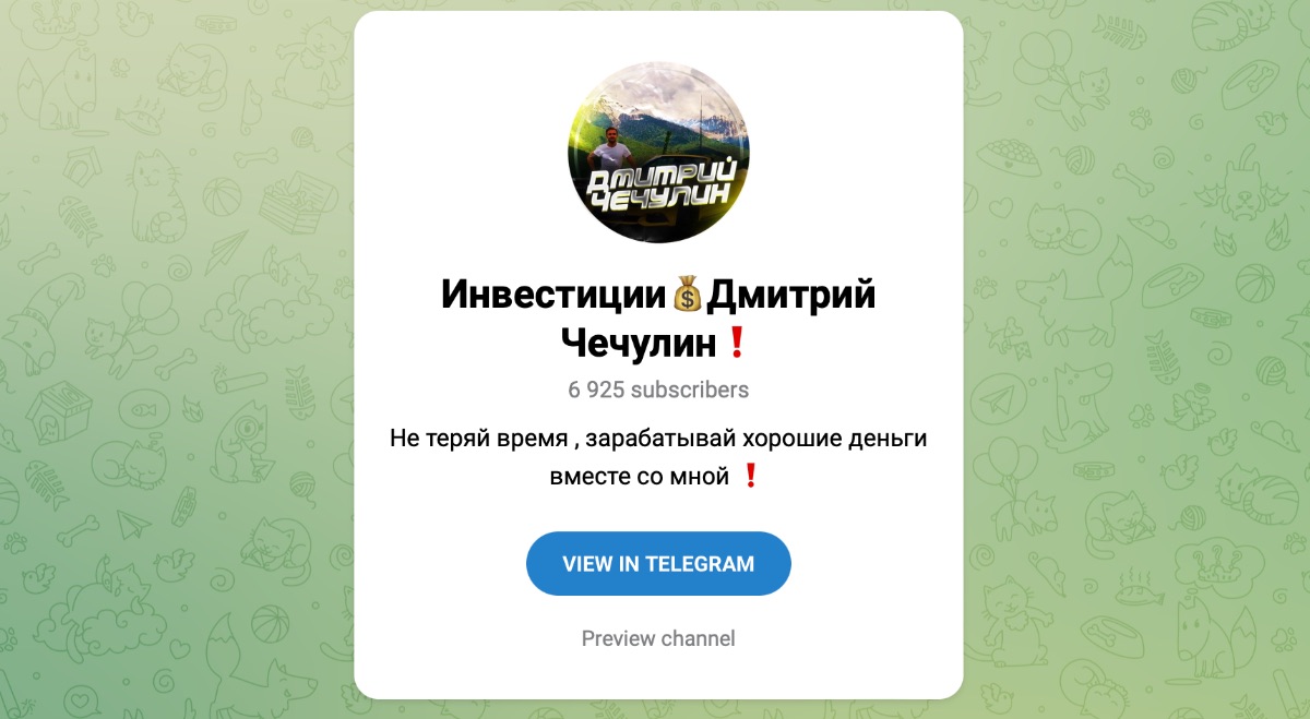 Внешний вид телеграм канала Инвестиции | Дмитрий Чечулин