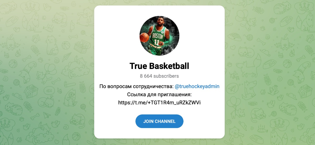 Внешний вид телеграм канала True Basketball