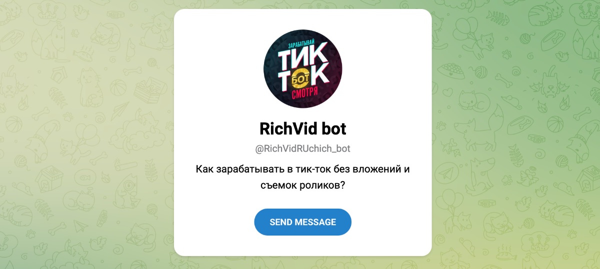 Внешний вид телеграм бота RichVid