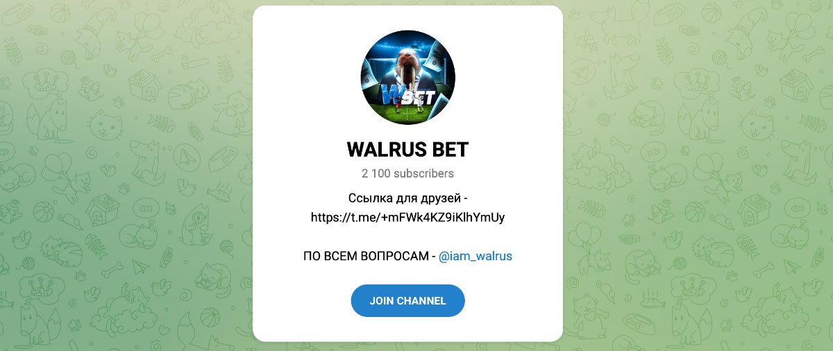 Внешний вид телеграм канала WALRUS BET