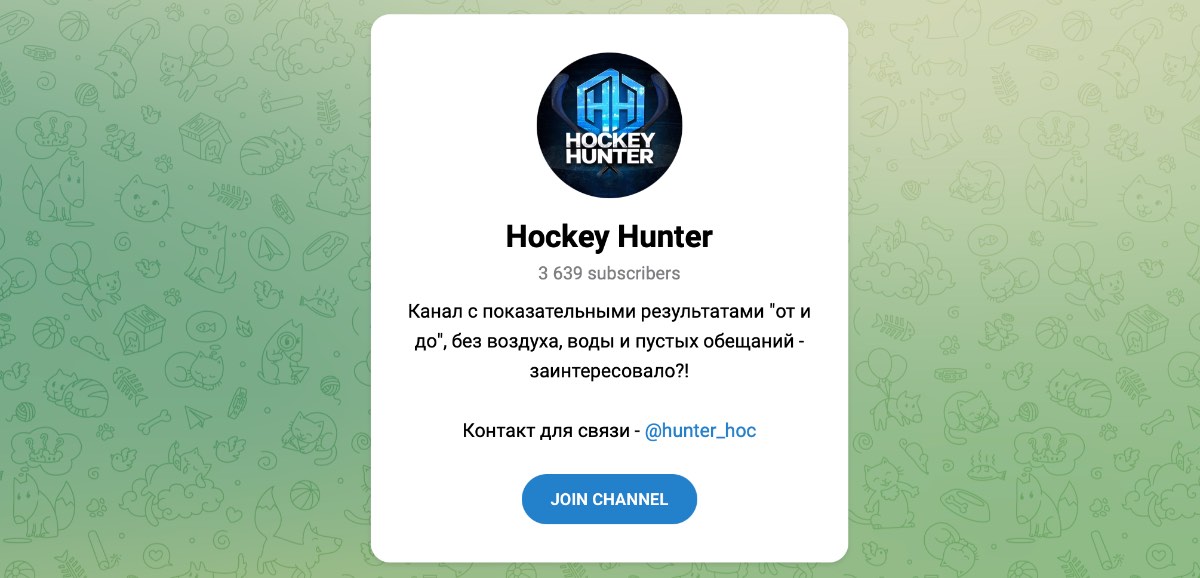 Внешний вид телеграм канала Hockey Hunter