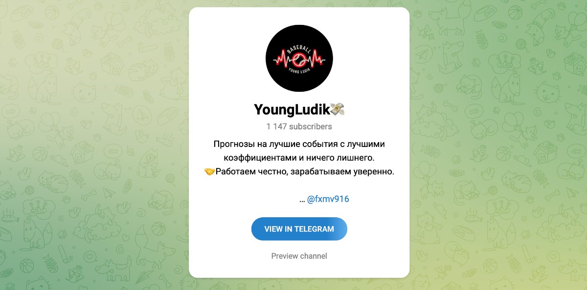 Внешний вид телеграм канала YoungLudik