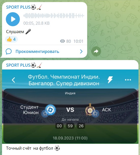 Договорные матчи на канале Telegram SPORT PLUS