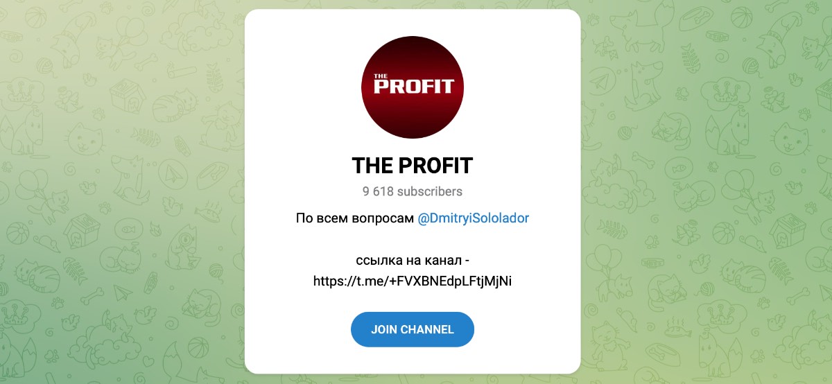 Внешний вид телеграм канала THE PROFIT