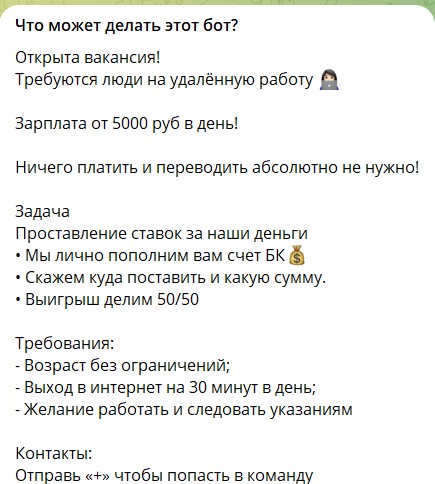 Условия работы с каппером Эммой Купер